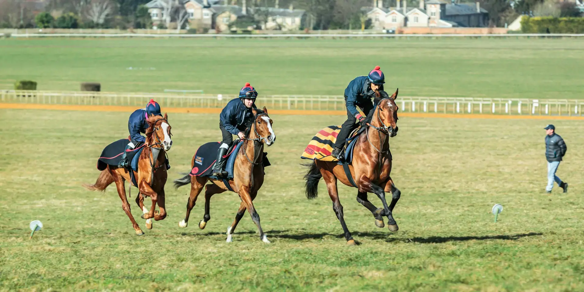 Three racehorses gallop during morning training on a lush green field, led by jockeys in navy blue uniforms and helmets.