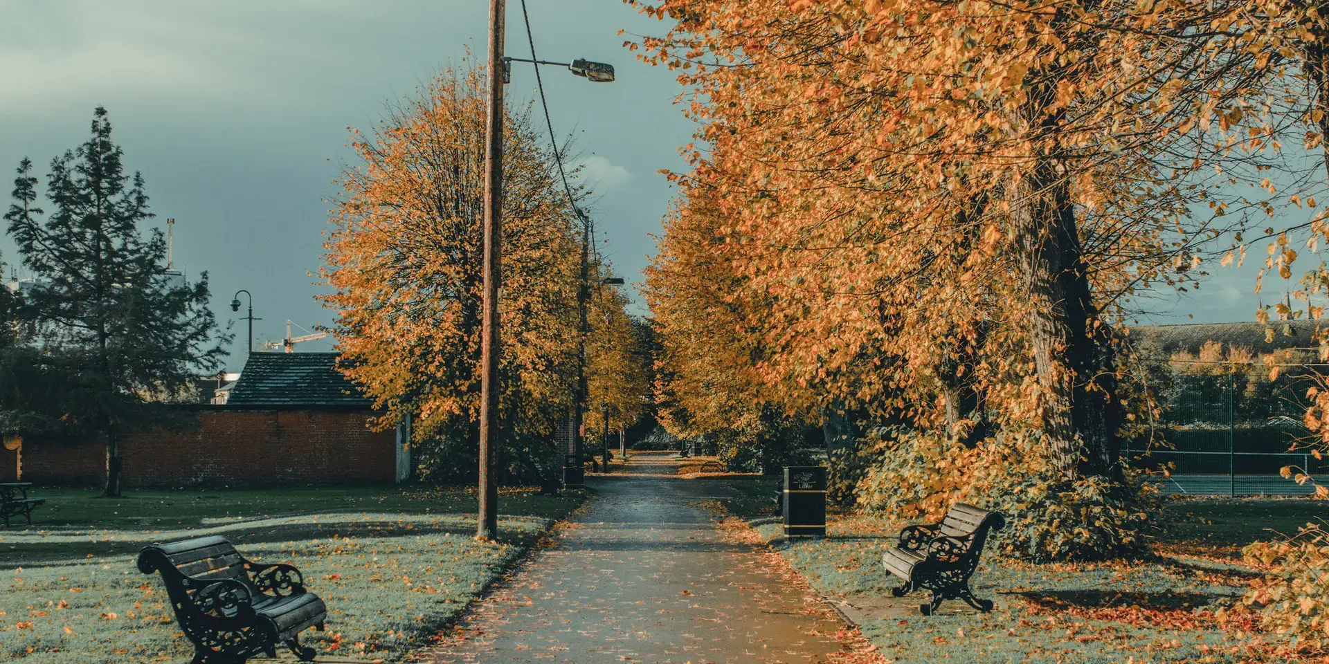 Tree-lined park path with autumn leaves, wooden benches, and a cloudy sky casting a golden light