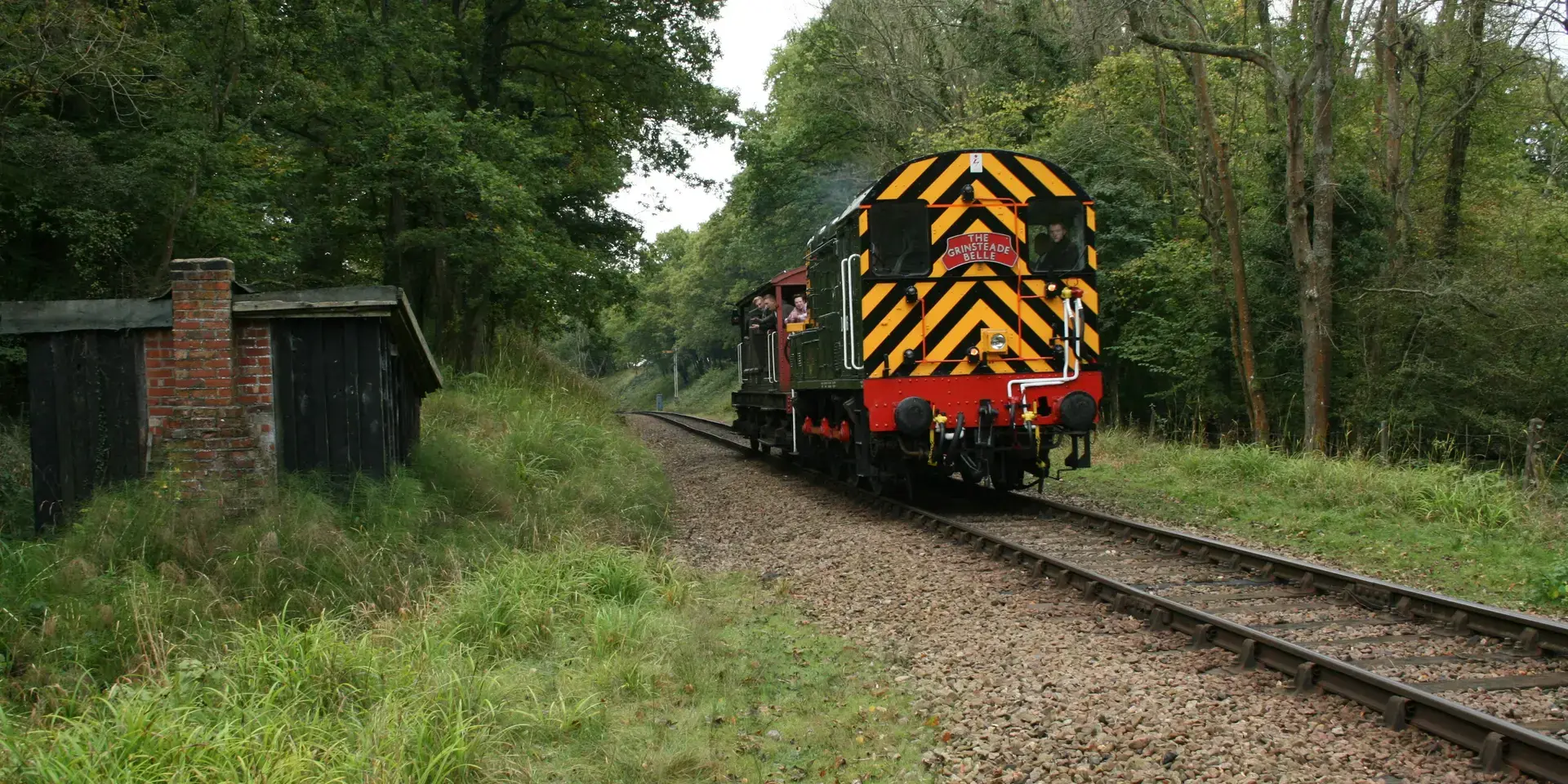 A heritage train adorned in bright yellow and black stripes travels through a lush, green woodland on a peaceful rural track