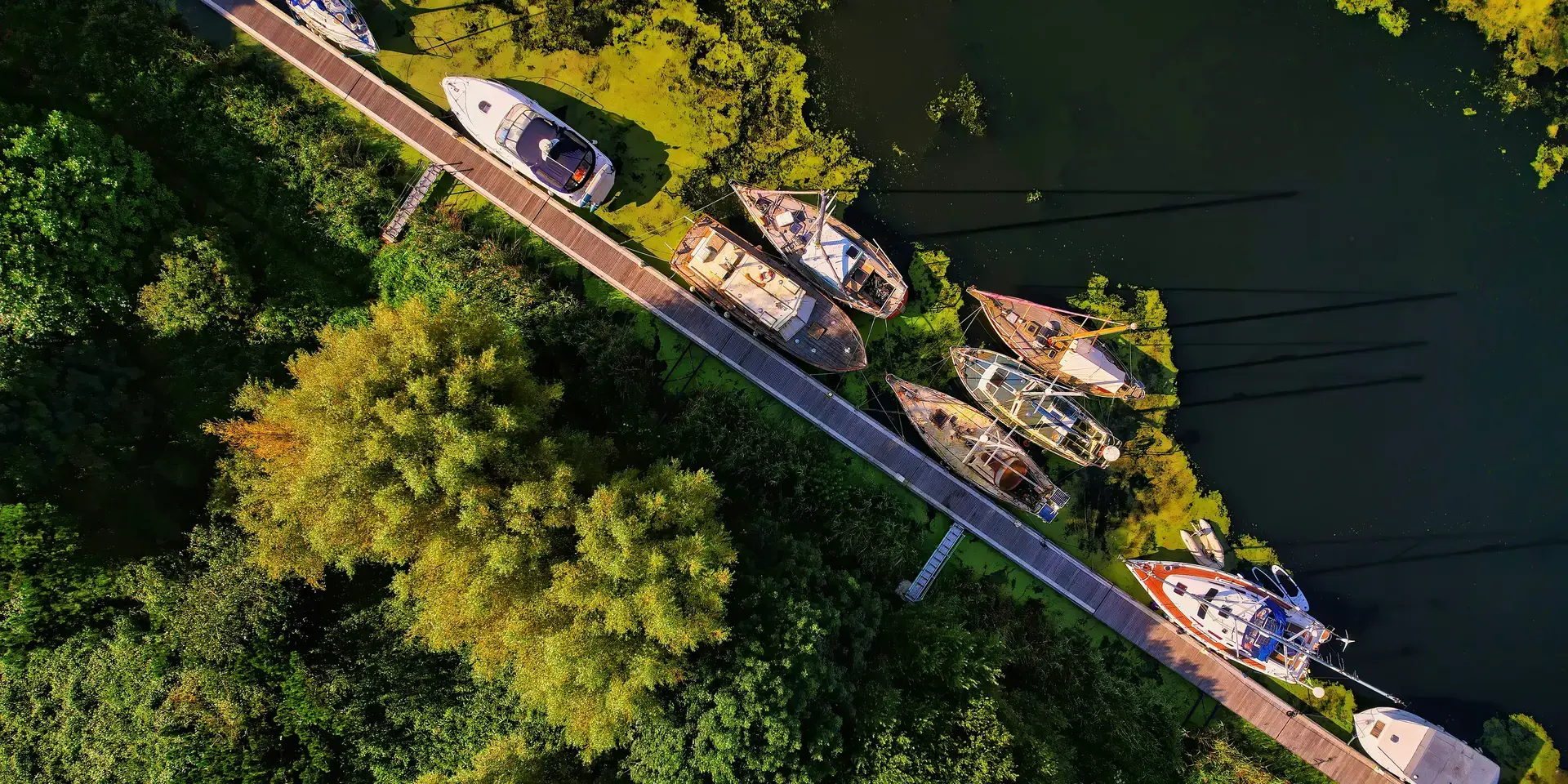 Top-down view of boats docked along a narrow pier surrounded by lush greenery and water covered in green algae