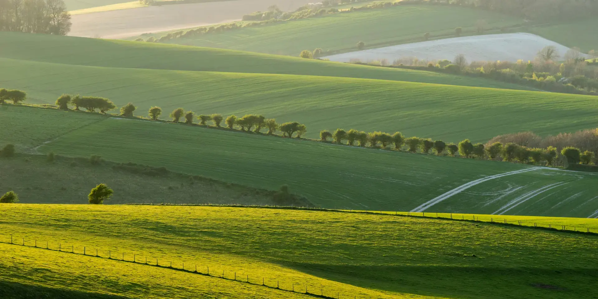 Rolling green fields with trees and paths, softly lit by golden sunlight under a hazy sky