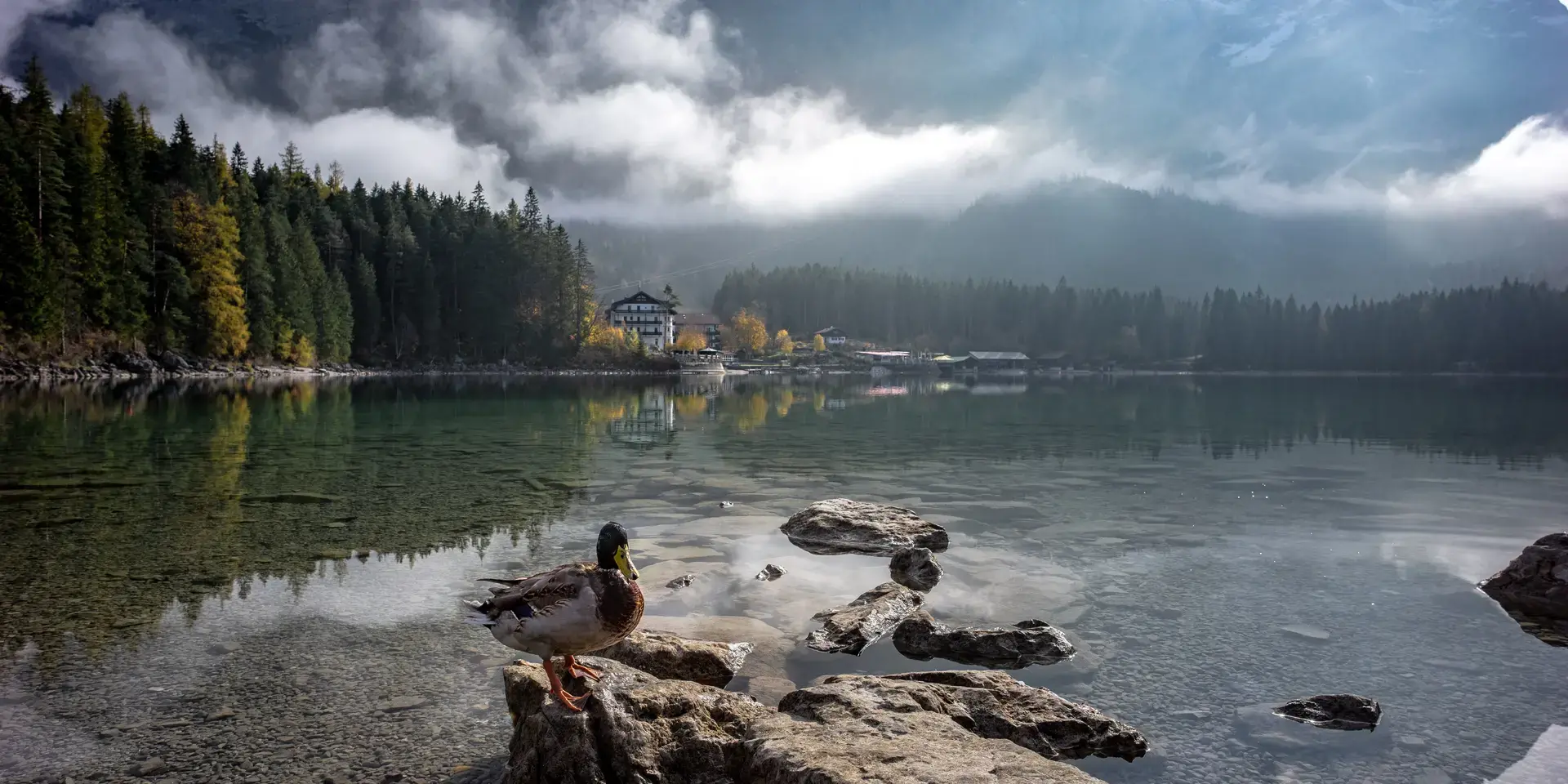 Duck perched on rocks by a serene mountain lake, surrounded by misty peaks, autumn trees, and a cozy lakeside lodge