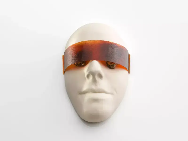 Gazes dish- A white face with a brown visor crossing the eyes