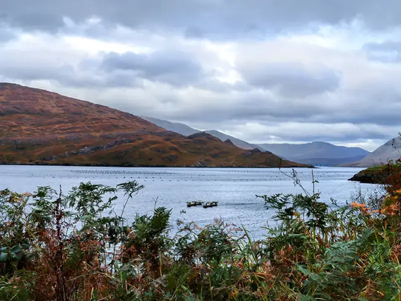 Killary fjord in the west of Ireland.