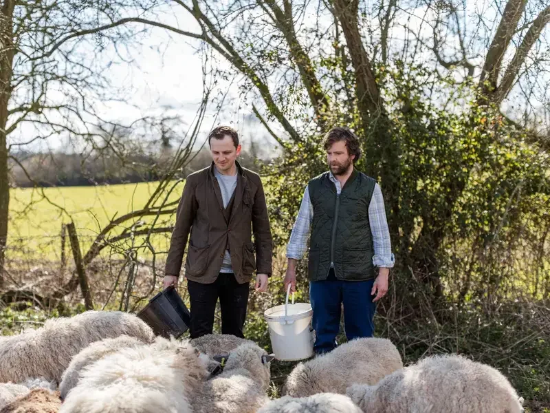 Chef James Lowe and farmer Tom Jones tending to sheep.
