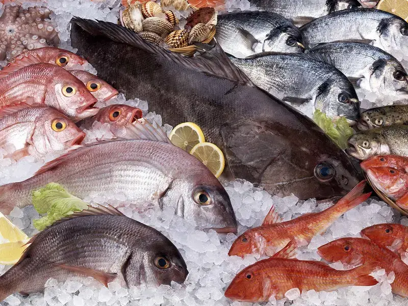 pescatarian diet