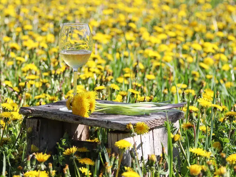 Dandelion wine.