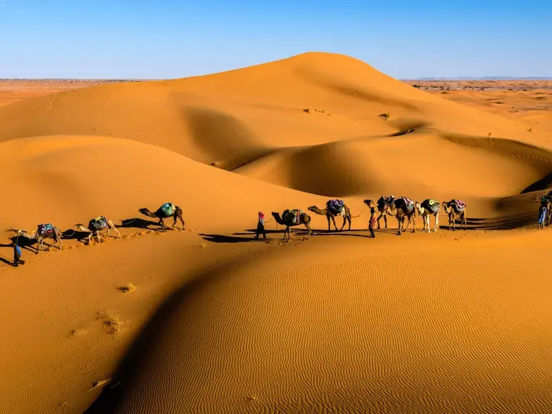 desert Bedouin