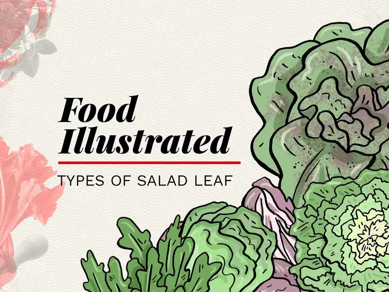 An illustration of salad leaves.