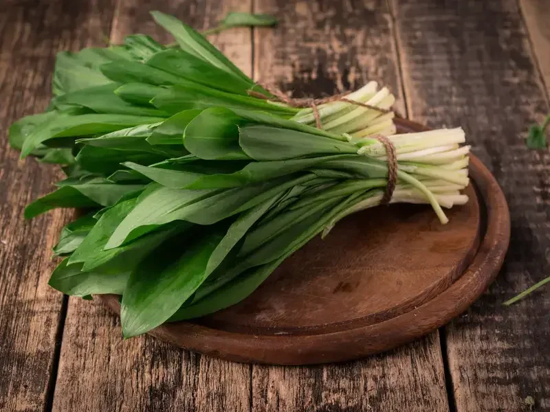 Wild Garlic