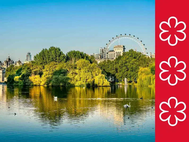 A park and a lake with the London Eye in the background.