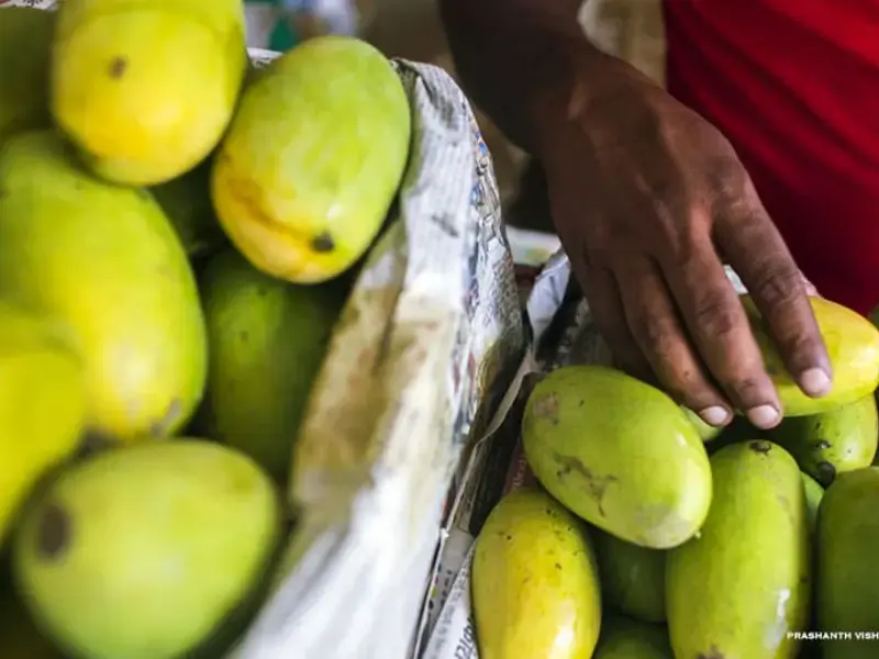 Original_10357_mango-finedininglovers-TP