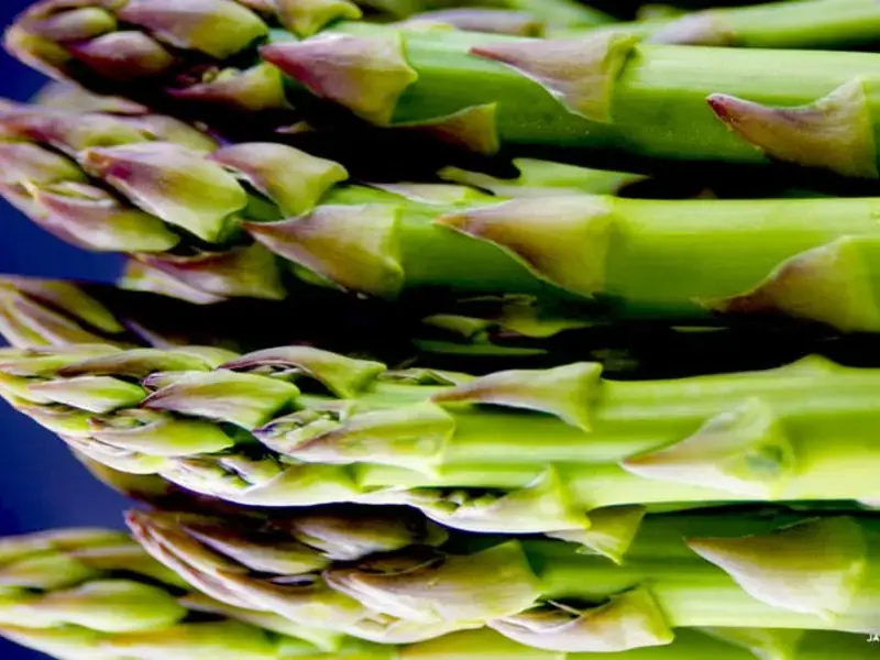 Original_10418_asparagus-finedininglovers-TP