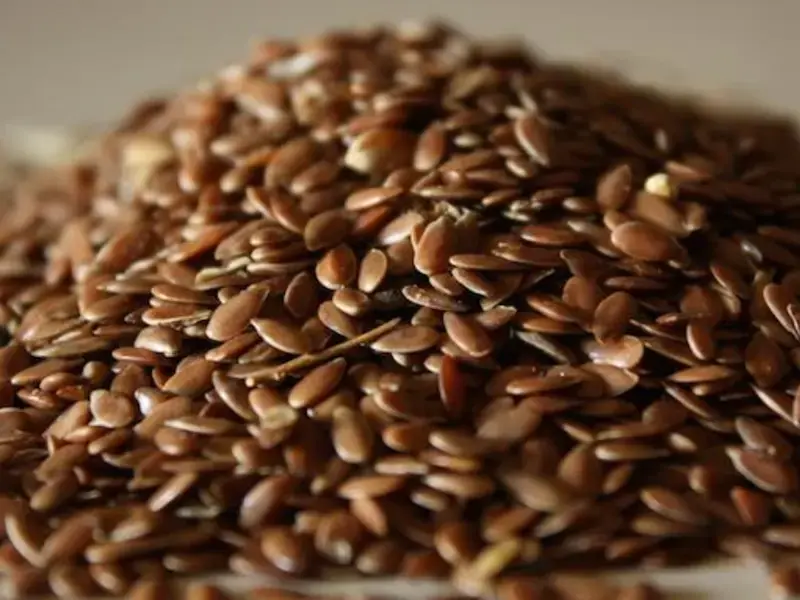 What is Linseed and How to Eat It