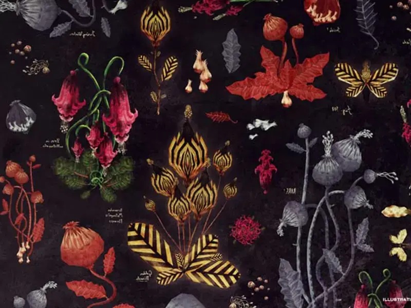 Original_10885_wild-herbs-finedininglovers-TP