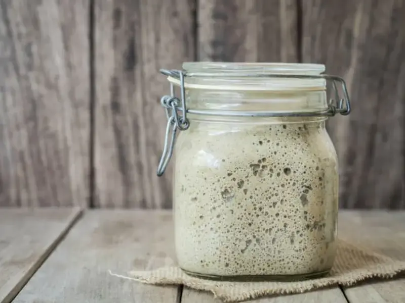 Sourdough Mother Dough