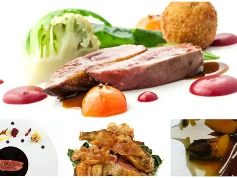 Pigeon Recipes: 4 Delightful Ways To Cook Pigeon Like A Chef