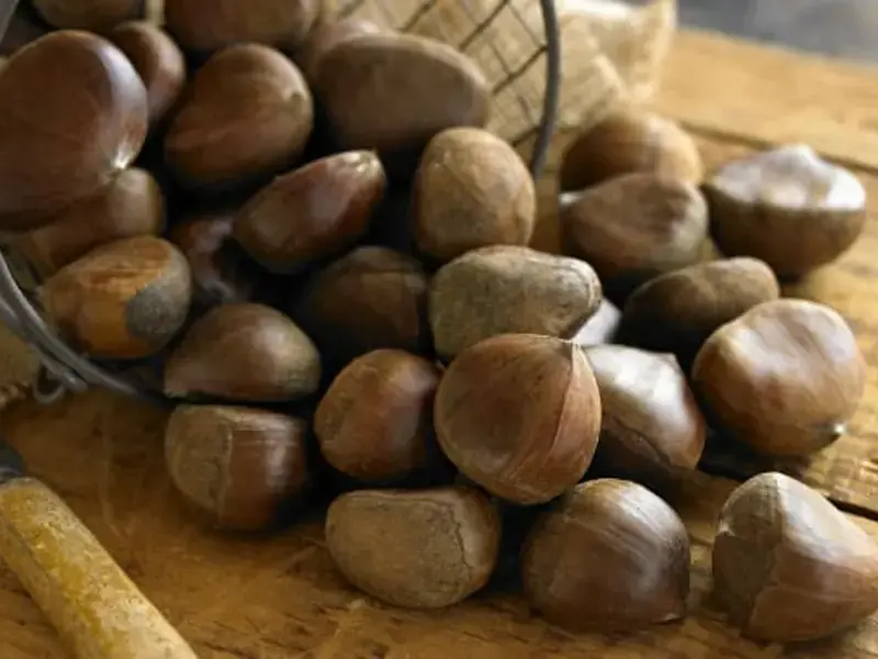 11 Recipes That Will Make You Fall in Love With Chestnuts