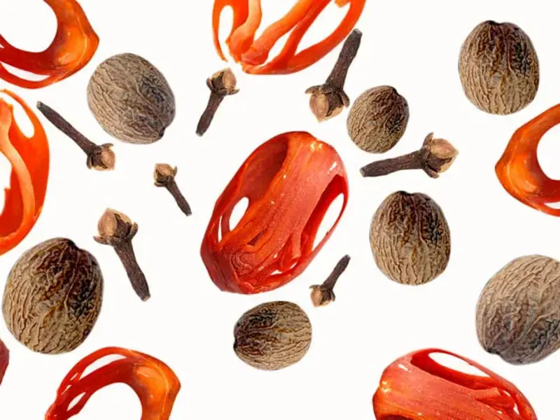 Original_11531_nutmeg.clove-finedininglovers-TP