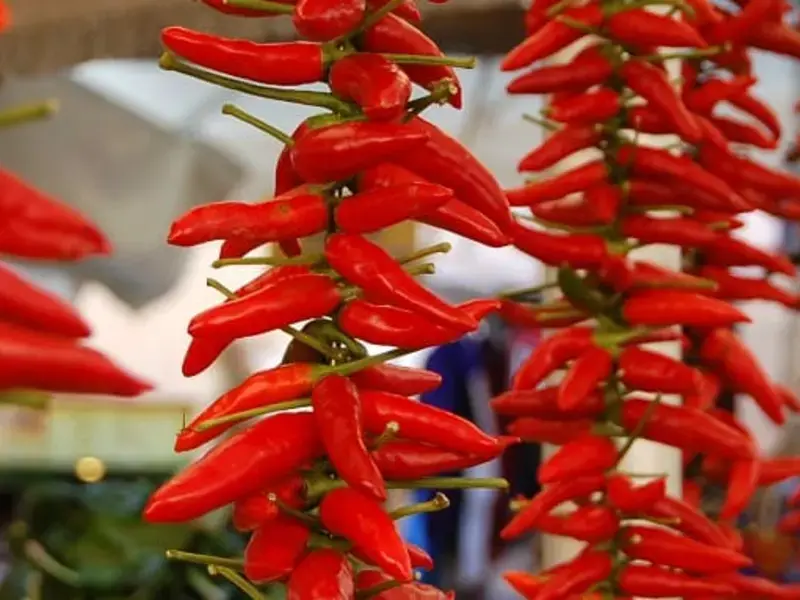 Kitchen Superstition: the Mysterious Uses of Chilli Pepper