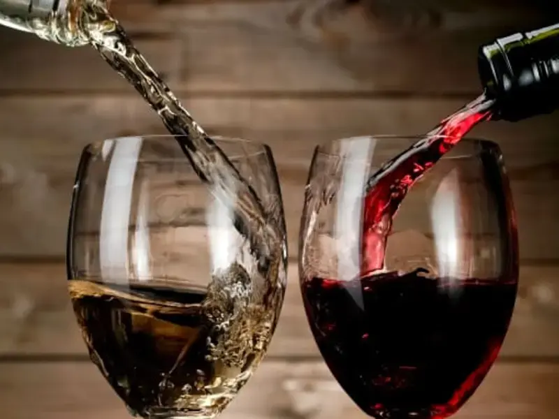 11 Easy Charts to Become a Wine Master