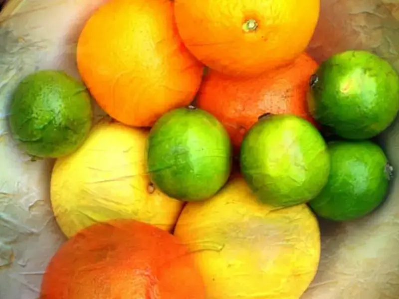 Unusual Citrus Fruits: 10 Citrus Worth Experimenting With in the Kitchen