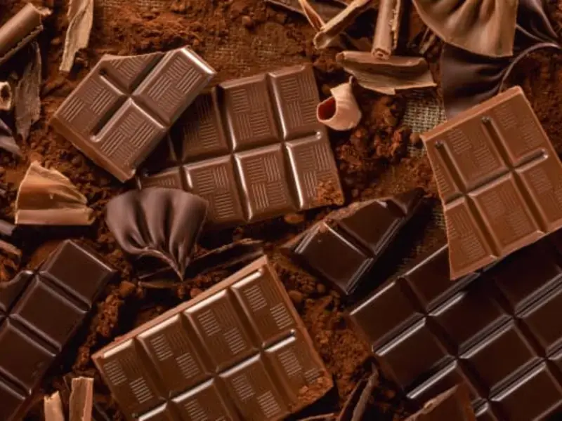 10 Chocolate Charts to Make You a Chocolate Connoisseur