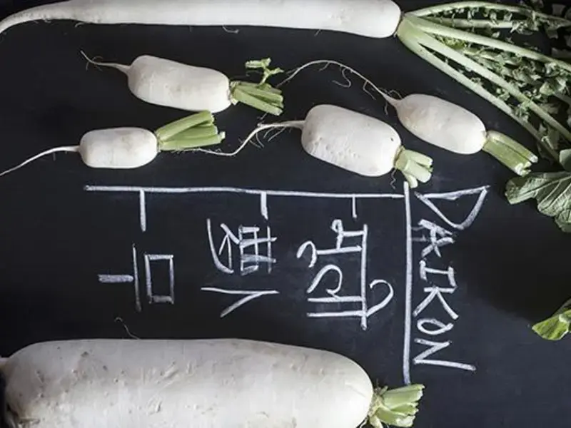 How to cook Daikon Radish: tips for preparing this Asian vegetable