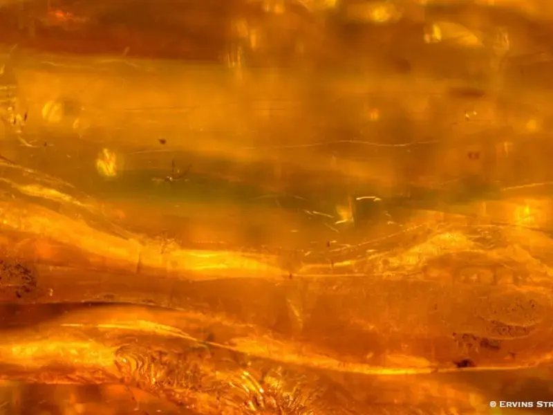 Original_13252_Resins-Amber-FDL-TP