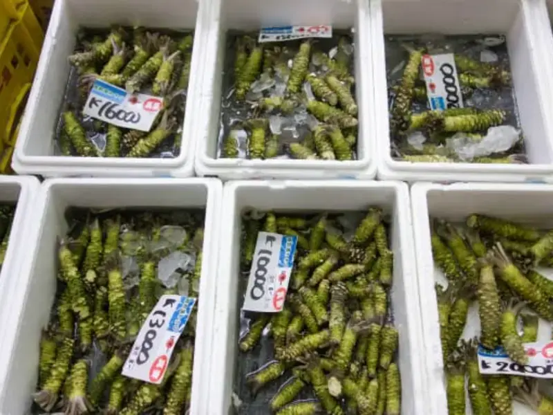 Wasabi: Where does it Come From?