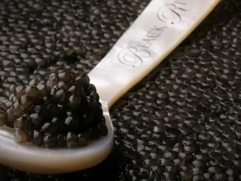 Original_133_FDL-black-caviar