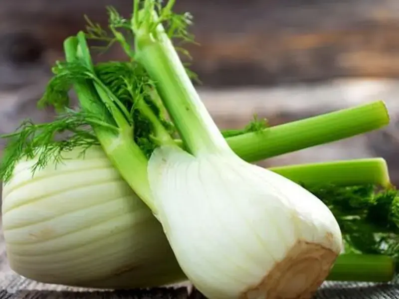 How to Use Fennel: A Beginner's Guide