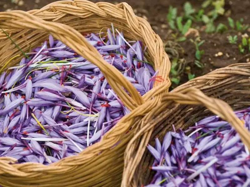10 Typical Food Products from Abruzzo, Italy