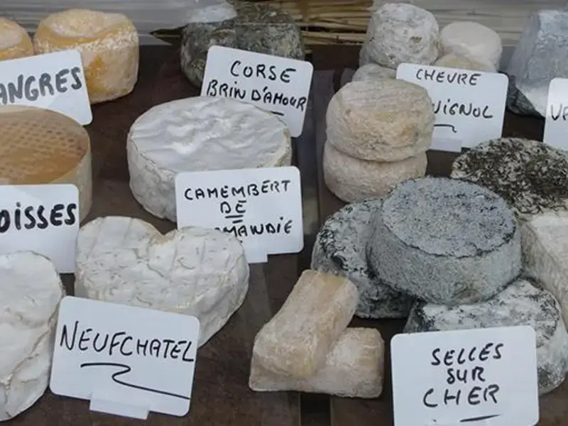 40 Iconic French Cheeses Mapped