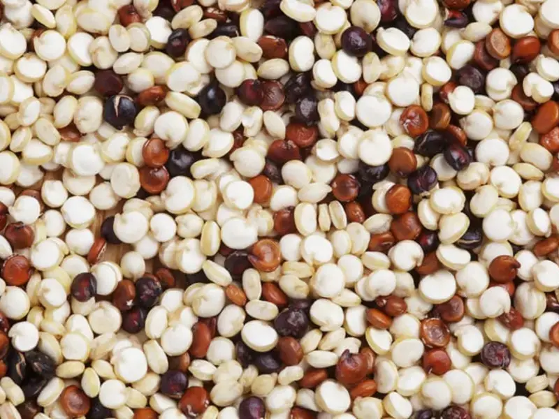 Ancient Grains from A to Z: 26 Things to Know