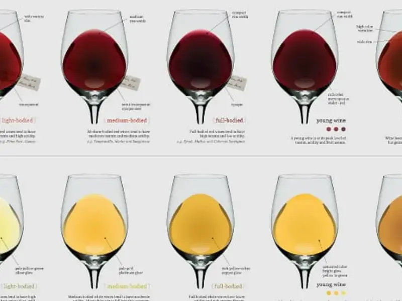 Wine Body and Colour Explained