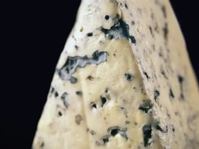 10 European Blue Cheeses You Need To Try