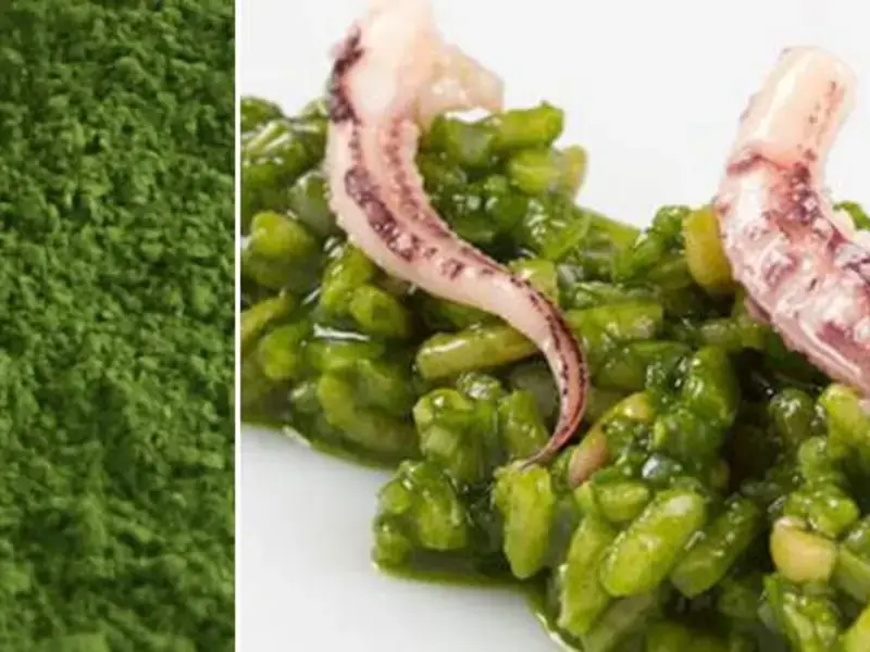 Plankton: What it is and How to Cook with it
