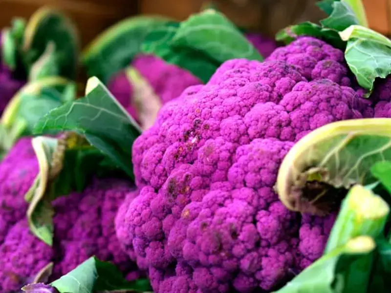 35 Purple Fruits and Vegetables You Should Be Eating