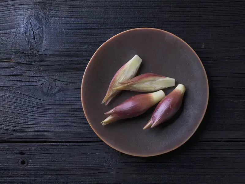 Myoga: What it is and How to Cook with it