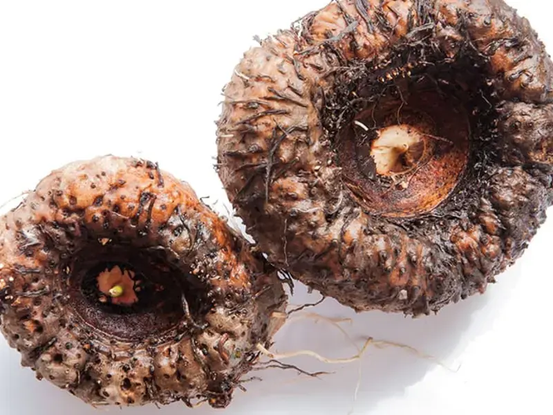 Konjac from A to Z: 26 things worth knowing