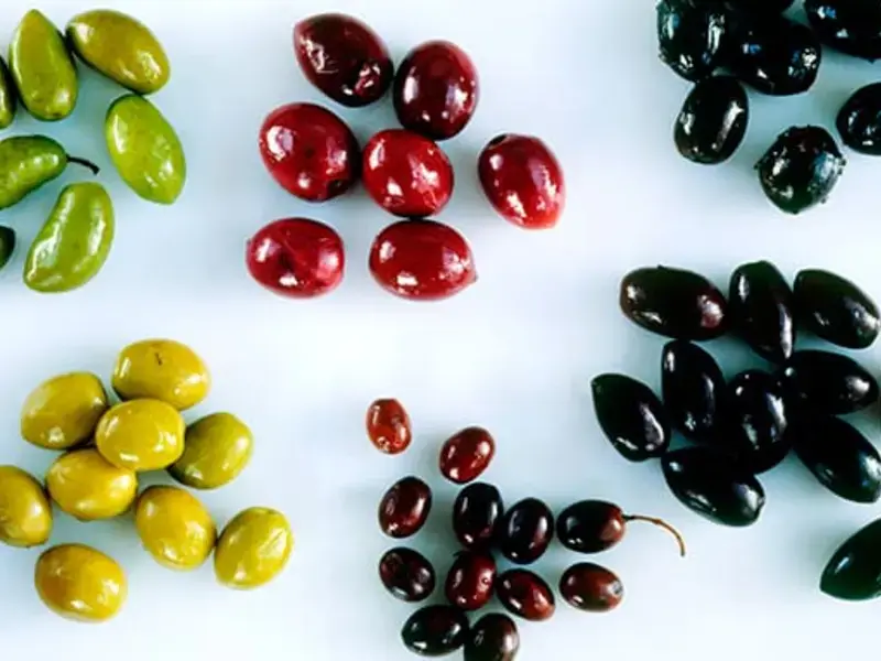 Greek Olives: A Guide to 5 Table Olives