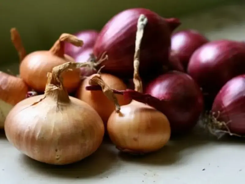 9 Ways to Cook an Onion