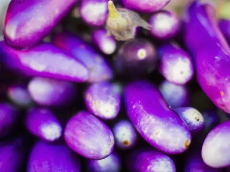 How Do I Cook Japanese Eggplant? Try These Tasty Recipes