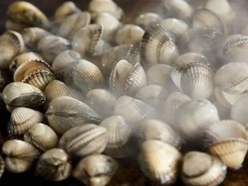 How to Eat Clams: All the Tips and Recipes you Need for Fresh Clams