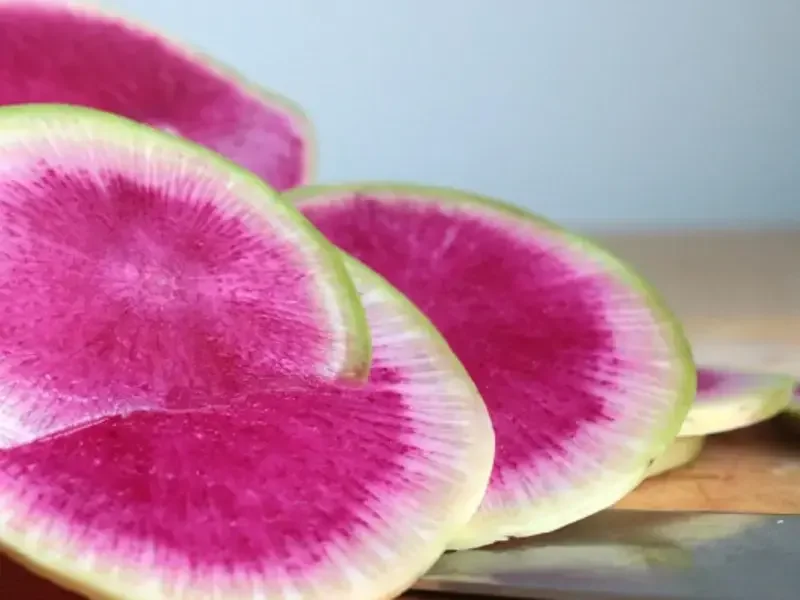 What is Watermelon Radish?