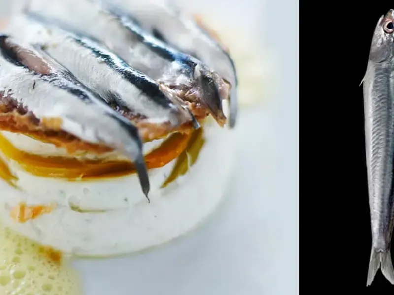 Anchovies Food Pairings