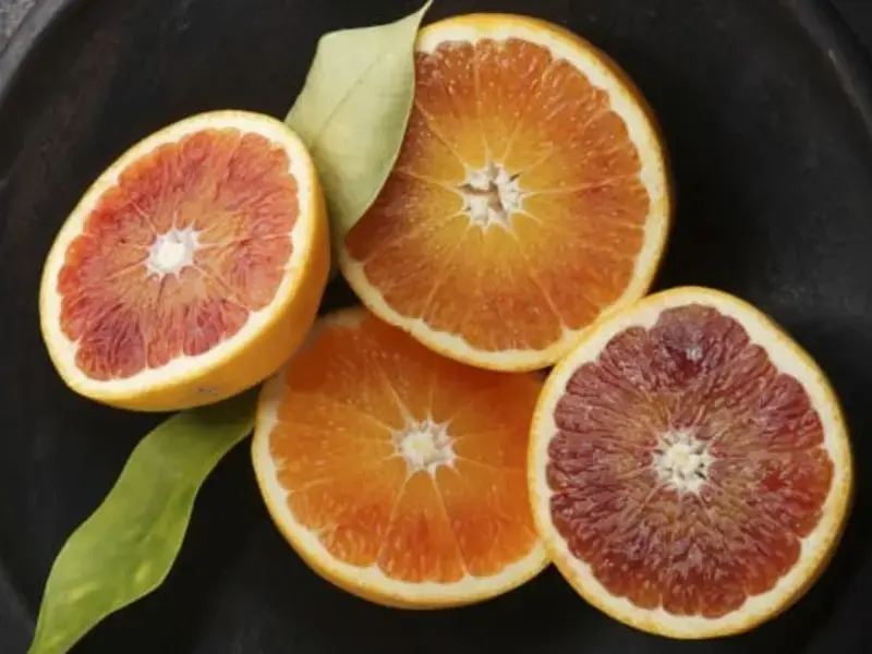 Tarocco Blood Oranges, the Sweetest of Citrus