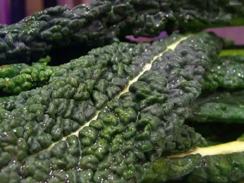 Black Cabbage