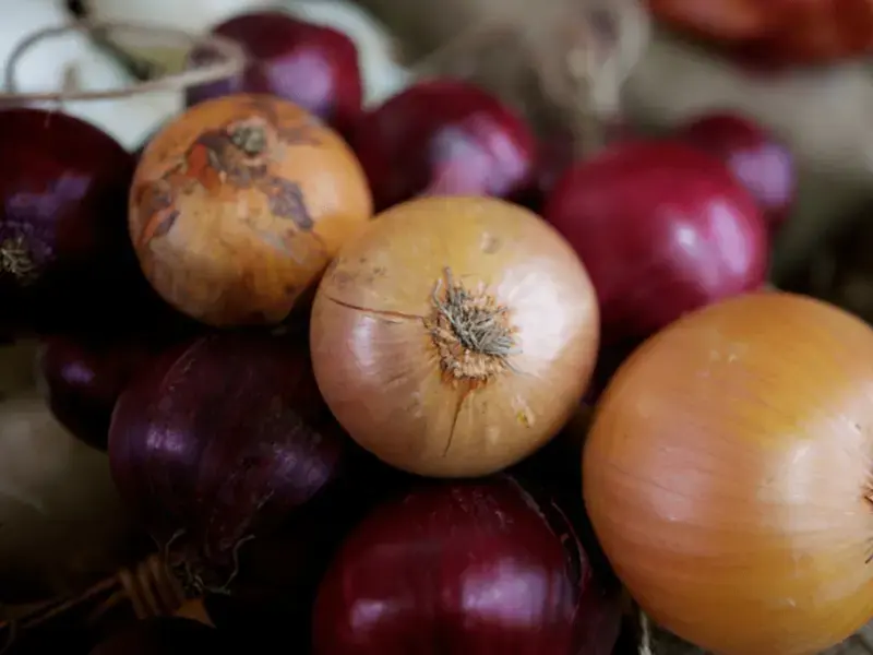 Different Types of Onions